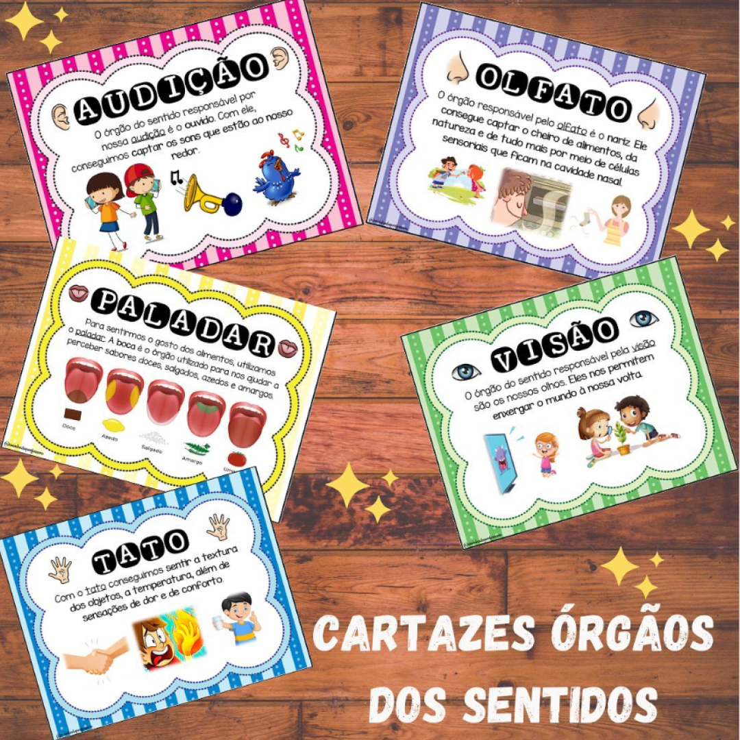 ÓRGÃOS E SEUS SENTIDOS