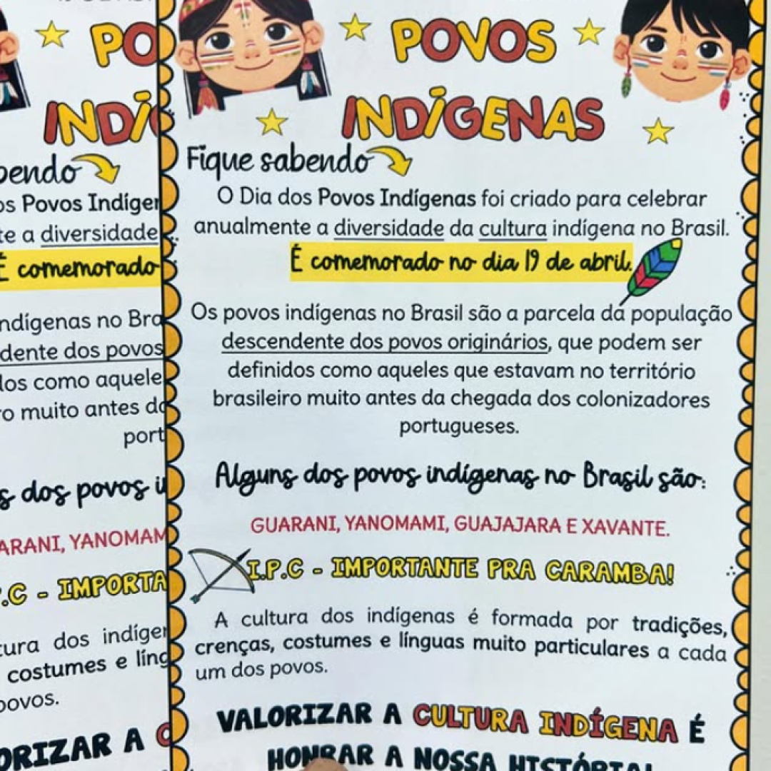 POVOS INDÍGENAS CONCEITO